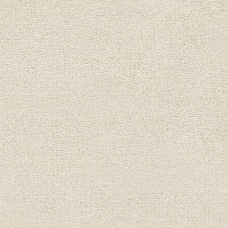 Barree Area Carpet - Clearance by Boutique Rugs