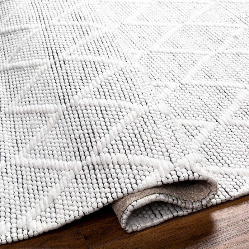 Bartimaeus Area Rug - Clearance by Boutique Rugs