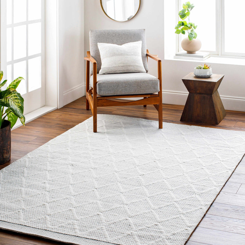 Bartimaeus Area Rug - Clearance by Boutique Rugs