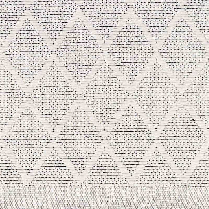 Bartimaeus Area Rug - Clearance by Boutique Rugs
