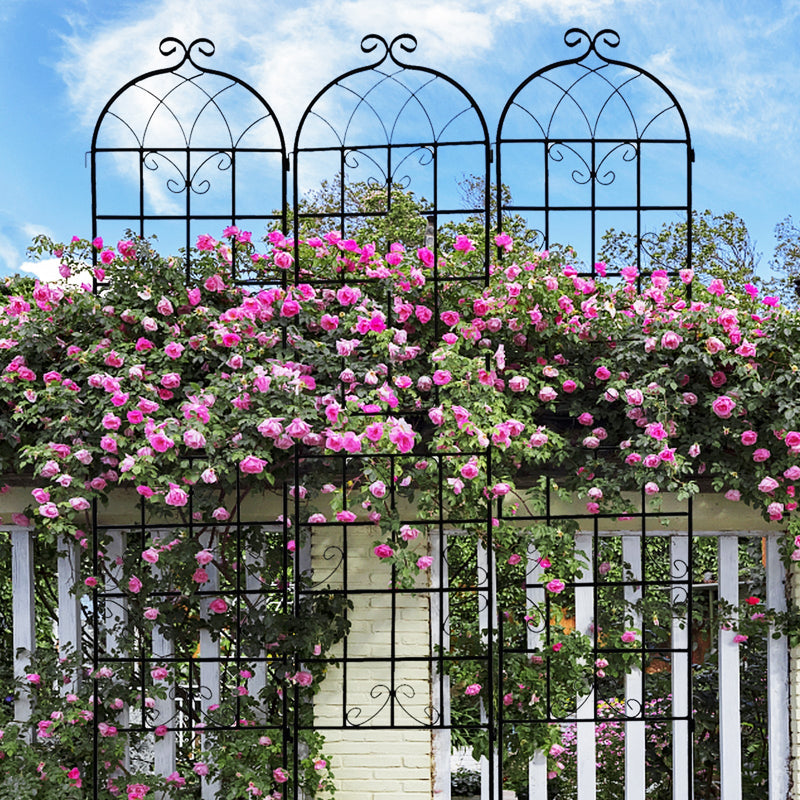 Metal Garden Trellis 4 Pack Rustproof Climbing Plant Supports by HouseOfZazla