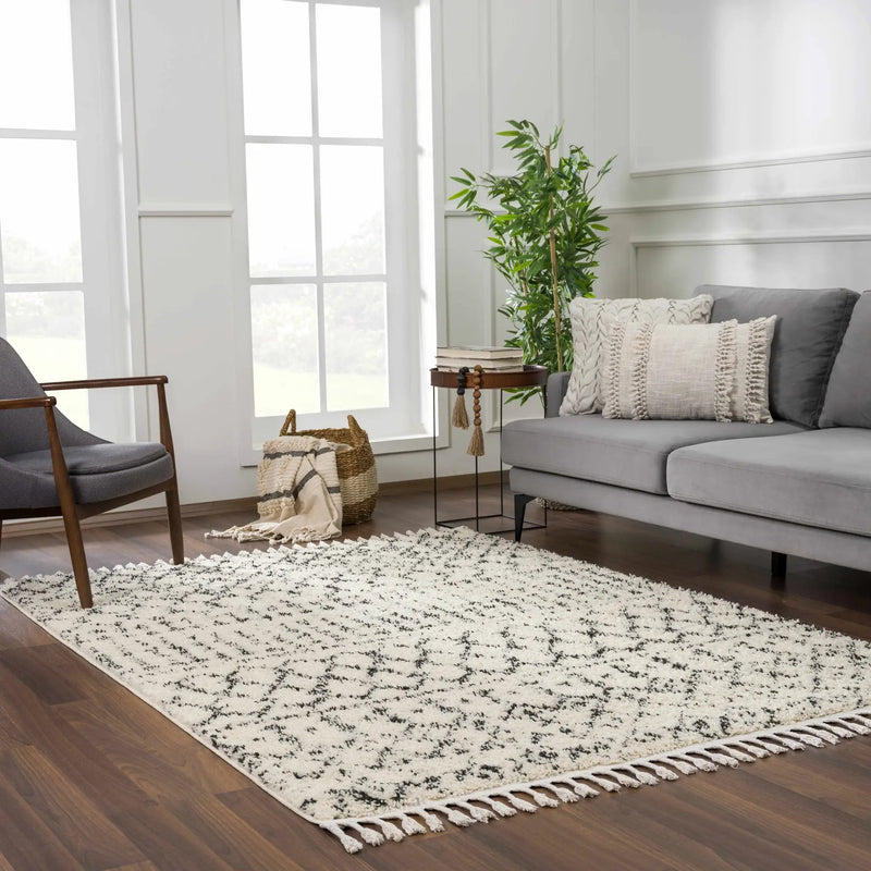 Kibureau Area Rug - Clearance by Boutique Rugs