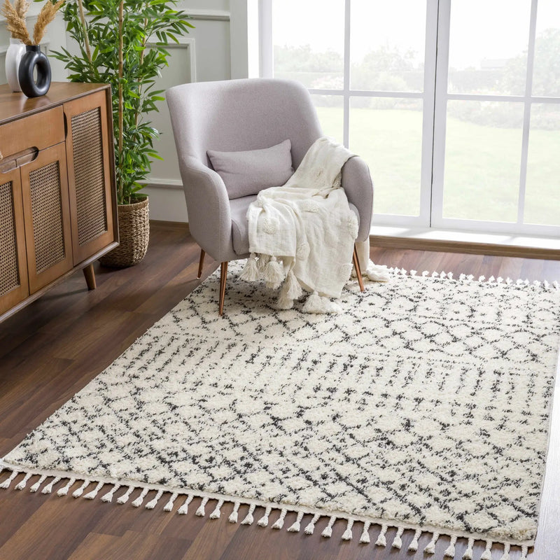 Kibureau Area Rug - Clearance by Boutique Rugs