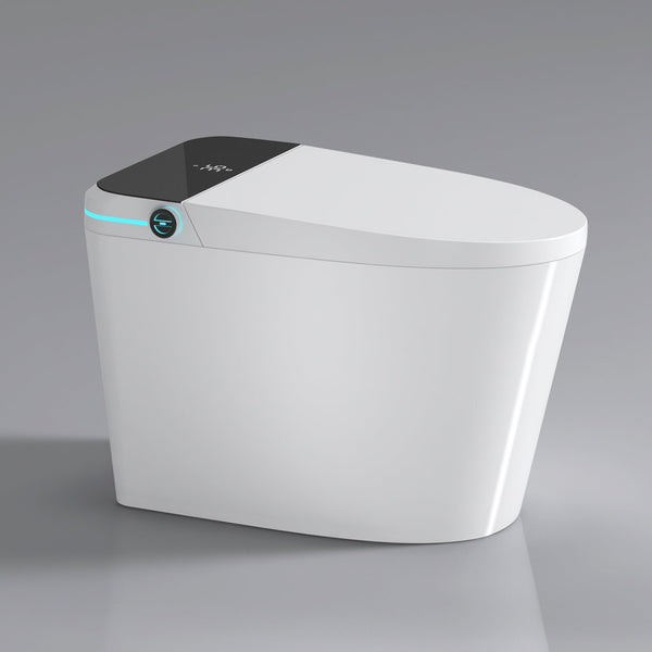 Modern Smart Toilet with Bidet Seat Built-In