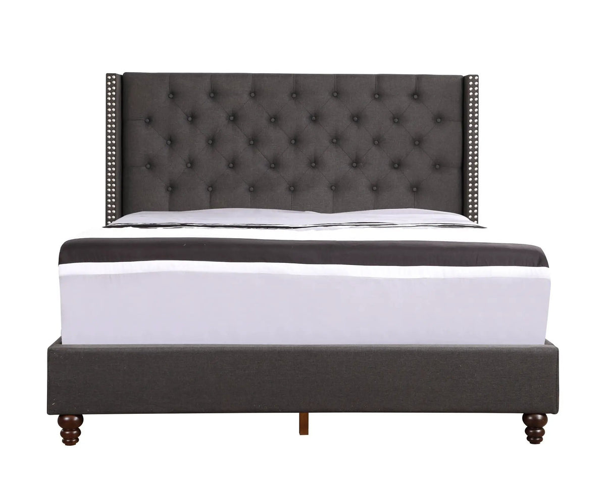 Nailhead Bed Transitional Vibrant by HouseOfZazla