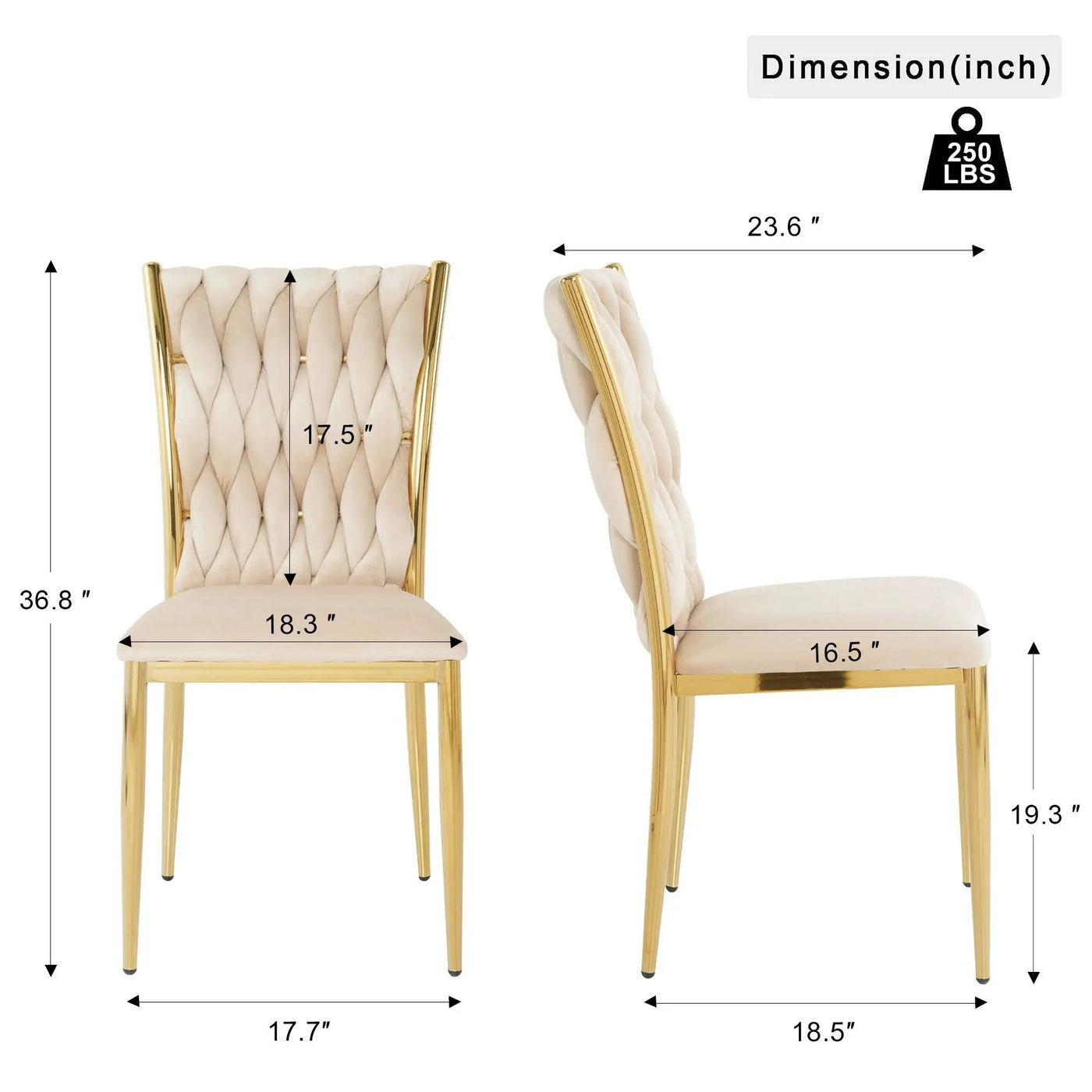 Modern Dining Chair For Dining Room by HouseOfZazla