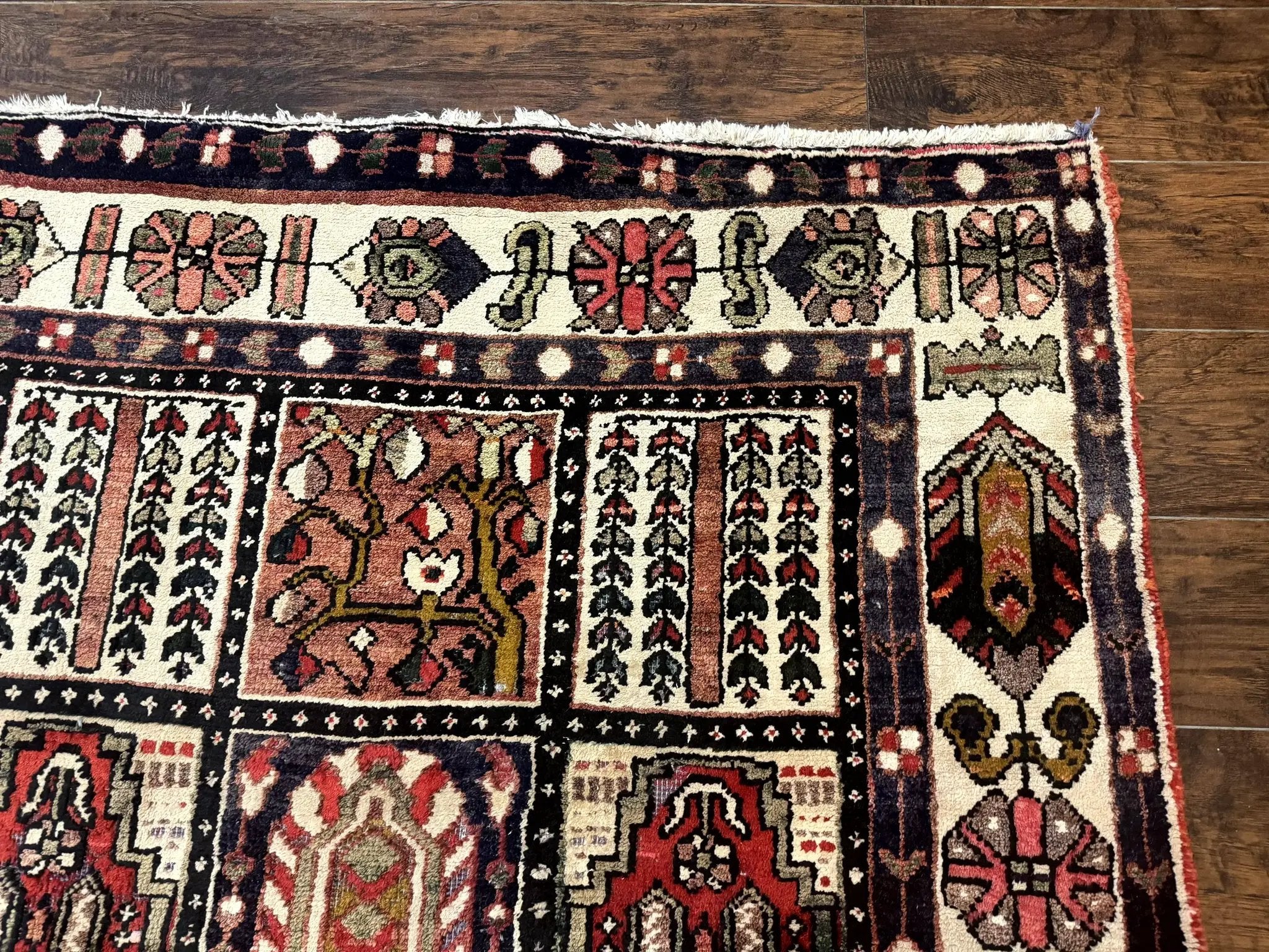 Persian Bakhtiari Tribal Rug 7x10, Panel Design, Semi Antique by Jewel Rugs
