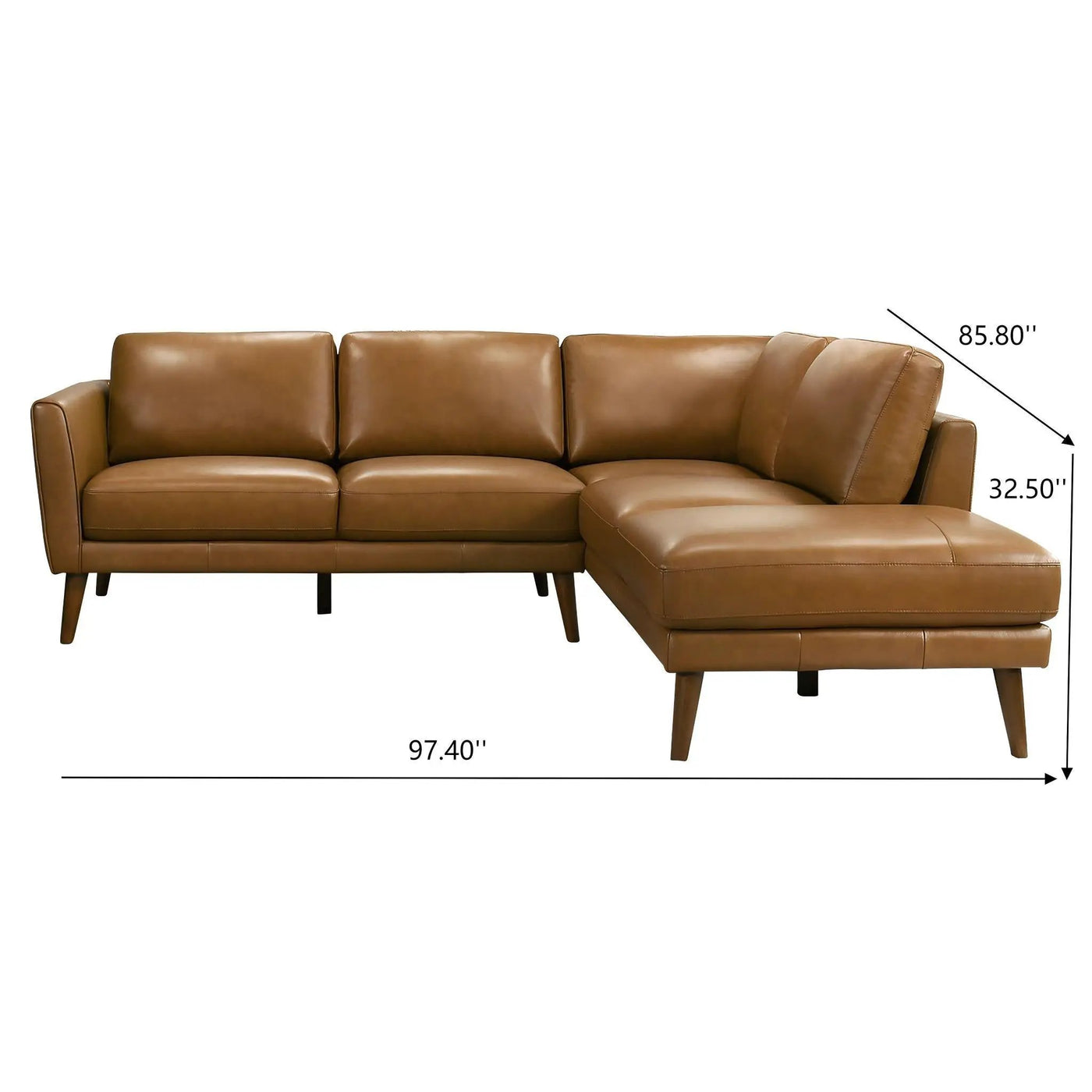 Benson - Sectional Sofa With Chaise by HouseOfZazla