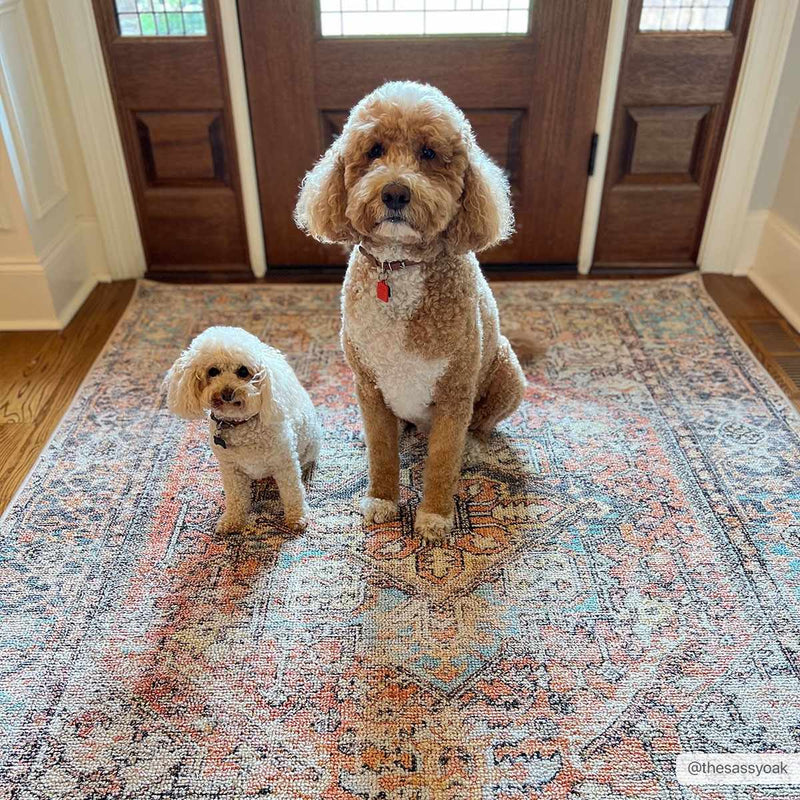 Beck Peach Washable Area Rug - Clearance by Boutique Rugs
