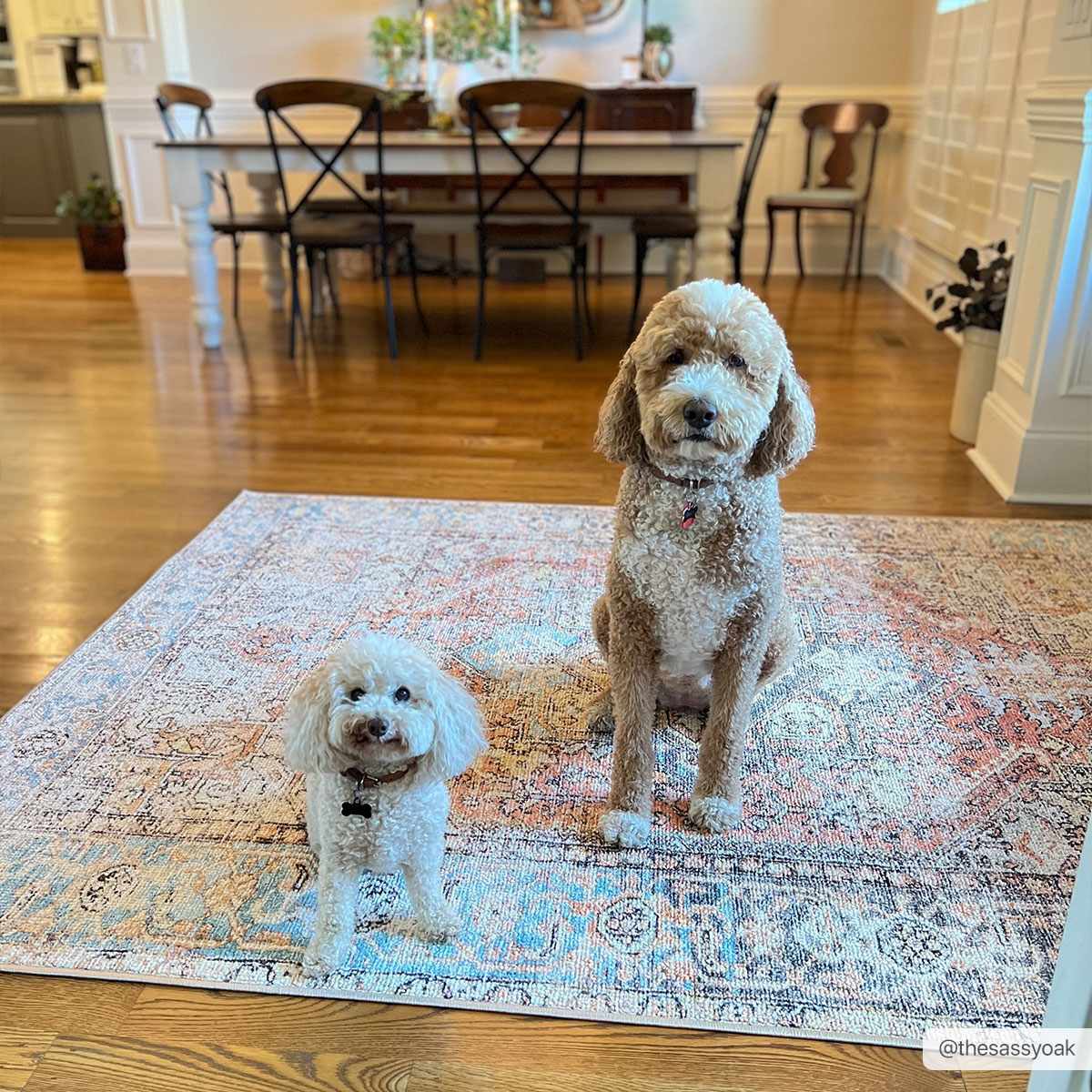 Beck Peach Washable Area Rug - Clearance by Boutique Rugs