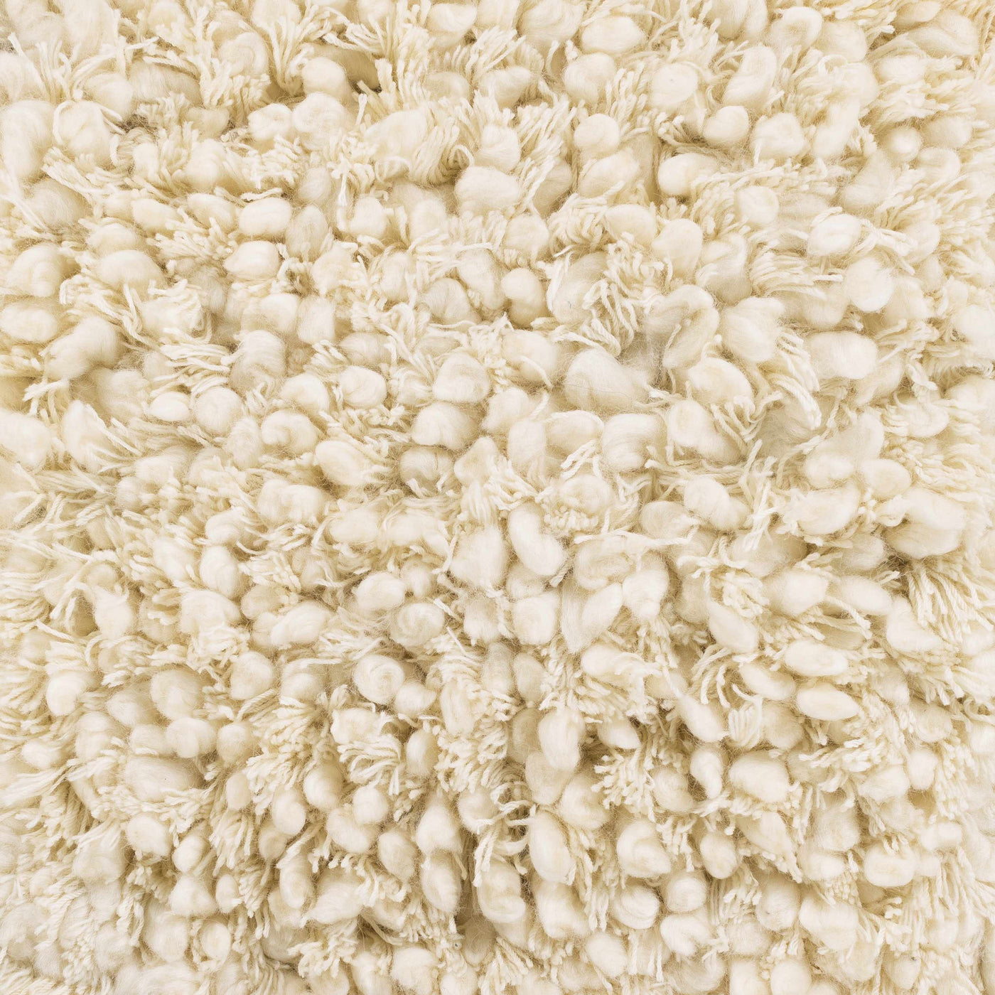 Bedias Wool Area Carpet - Clearance by Boutique Rugs
