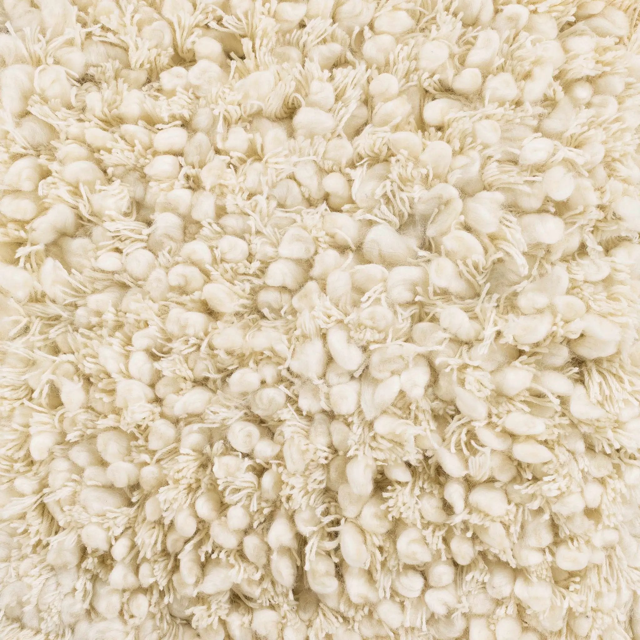 Bedias Wool Area Carpet - Clearance by Boutique Rugs