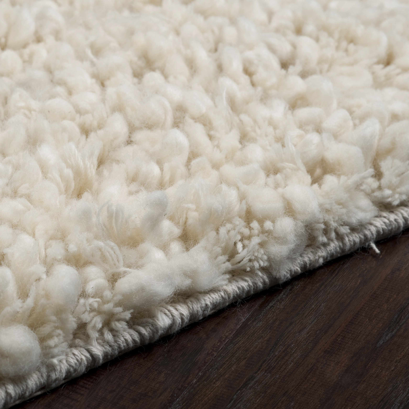 Bedias Wool Area Carpet - Clearance by Boutique Rugs