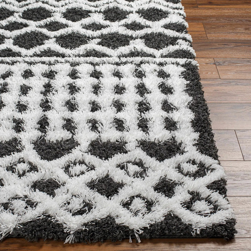 Bente Shag Area Rug by Boutique Rugs