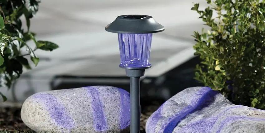 Berkley Jensen Solar Color-Holding Pathway Lights, 8pk. by Outdoor Solar Outlet