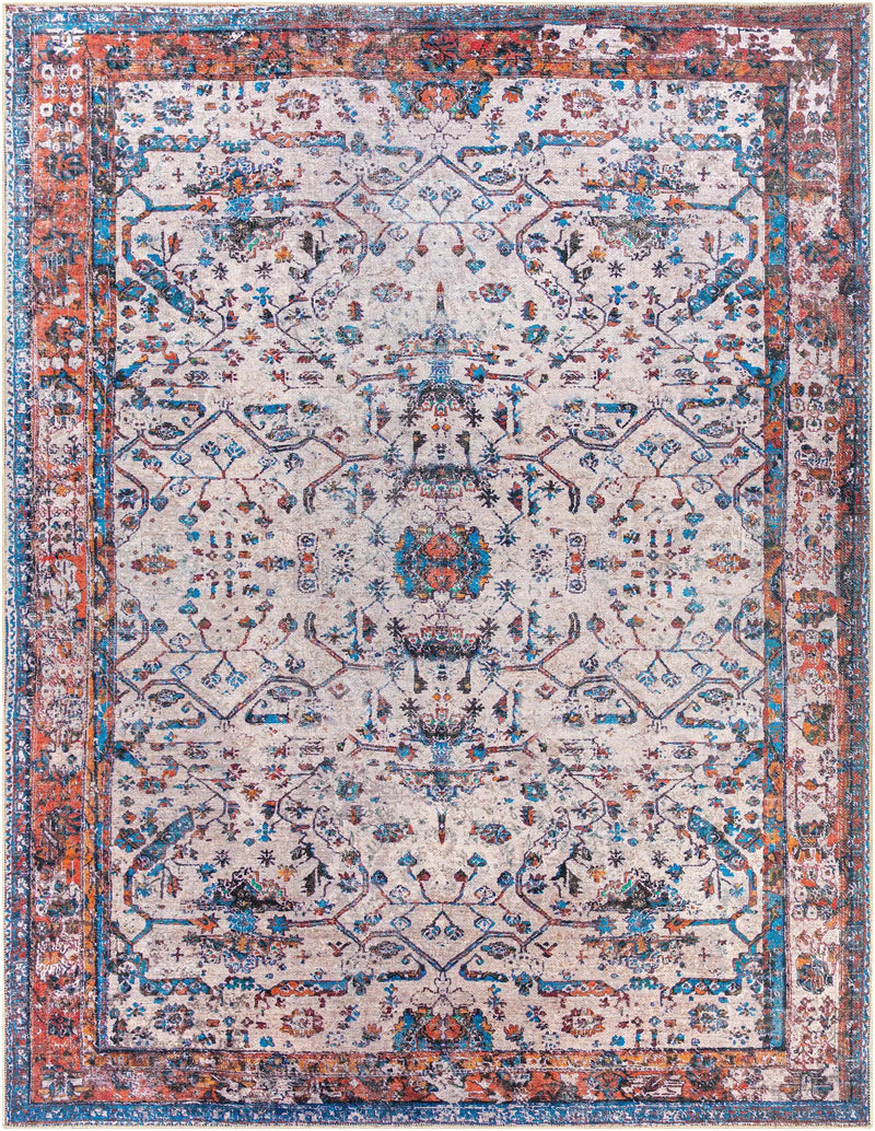 Beykonak Washable Area Rug - Clearance by Boutique Rugs