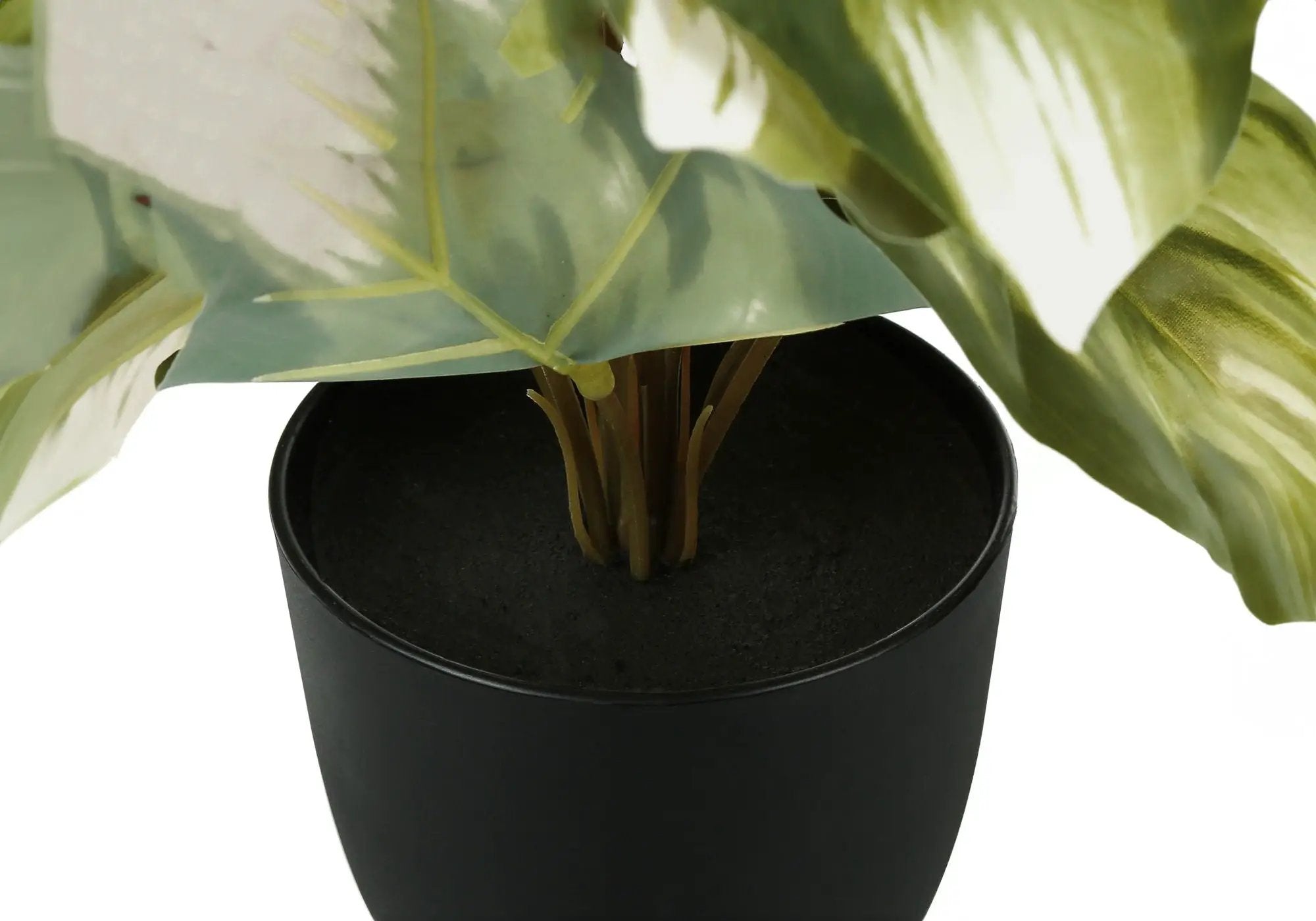13" Tall Artificial Monstera and Calathea Plants, Set of 2 by HouseOfZazla