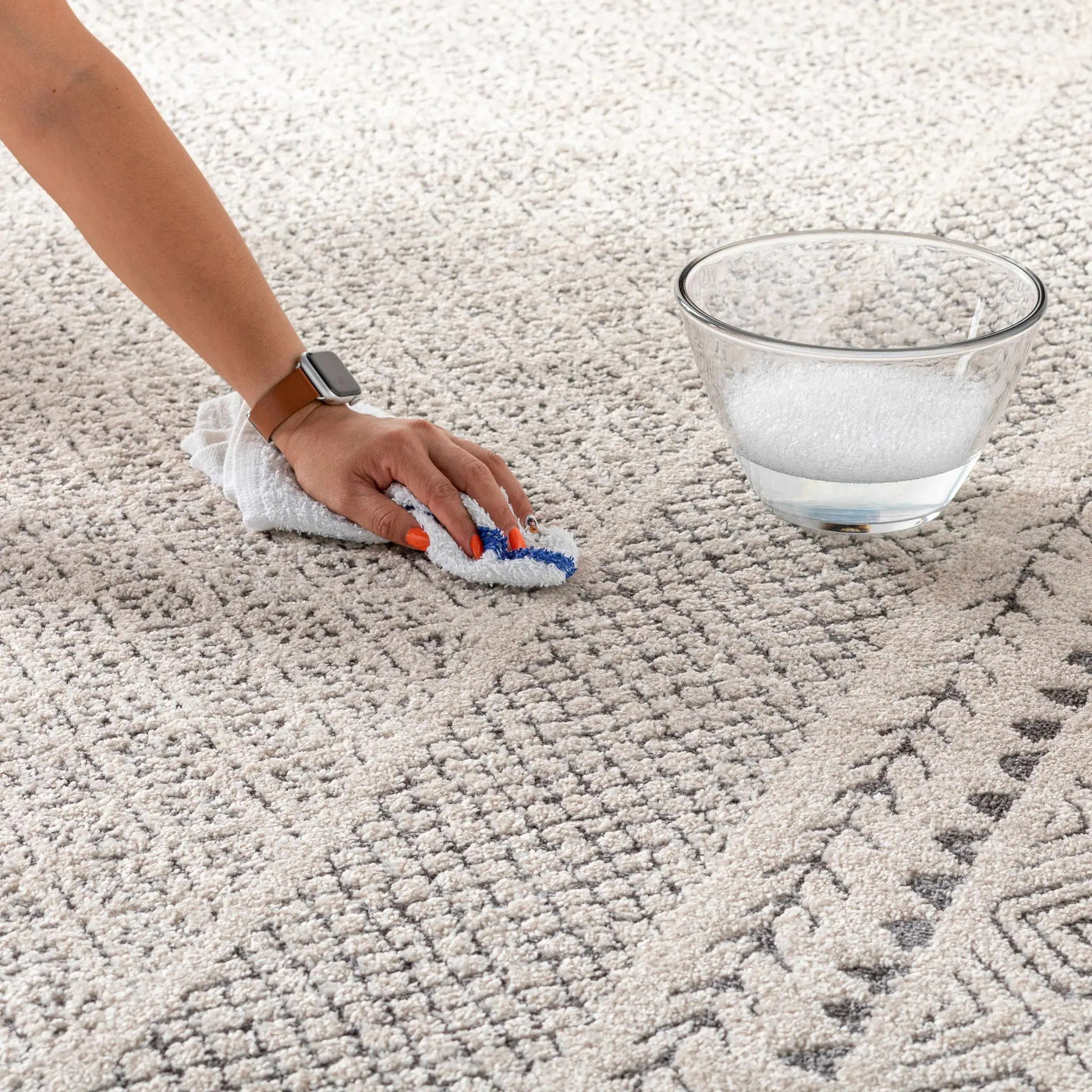 Burdette Soft Neutral Rug by Hauteloom