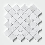Meshed Arabesque