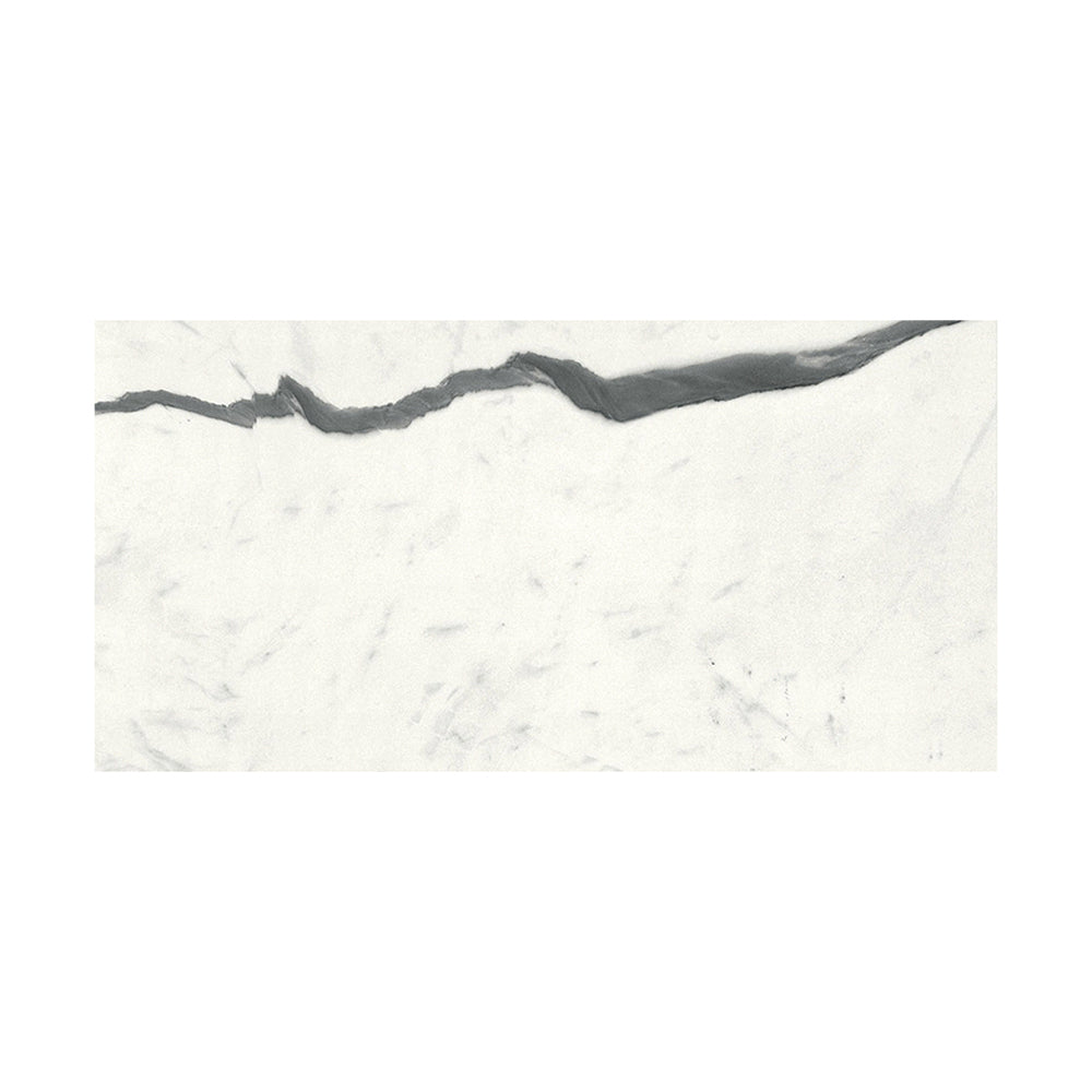 Bianco S Matte Marble Look Porcelain Tiles 12x24 Porcelain Matte 12x24 Tiles