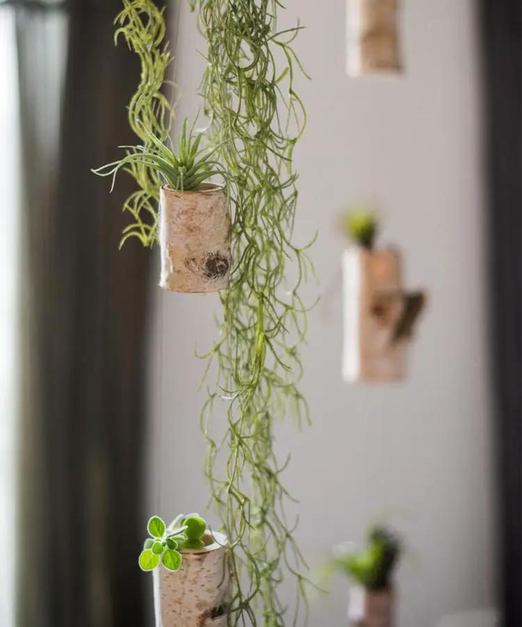 Birch Wood Tiny Planter String Hanging Planter Decoration by RusticReach