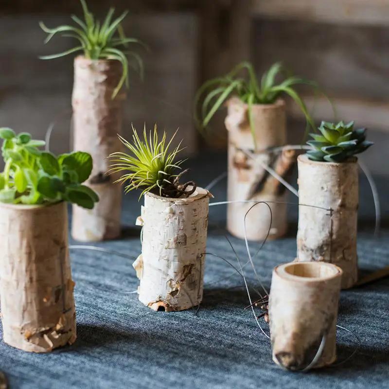 Birch Wood Tiny Planter String Hanging Planter Decoration by RusticReach