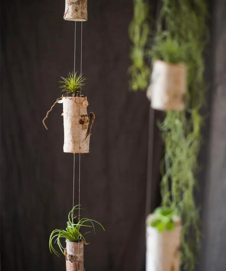 Birch Wood Tiny Planter String Hanging Planter Decoration by RusticReach