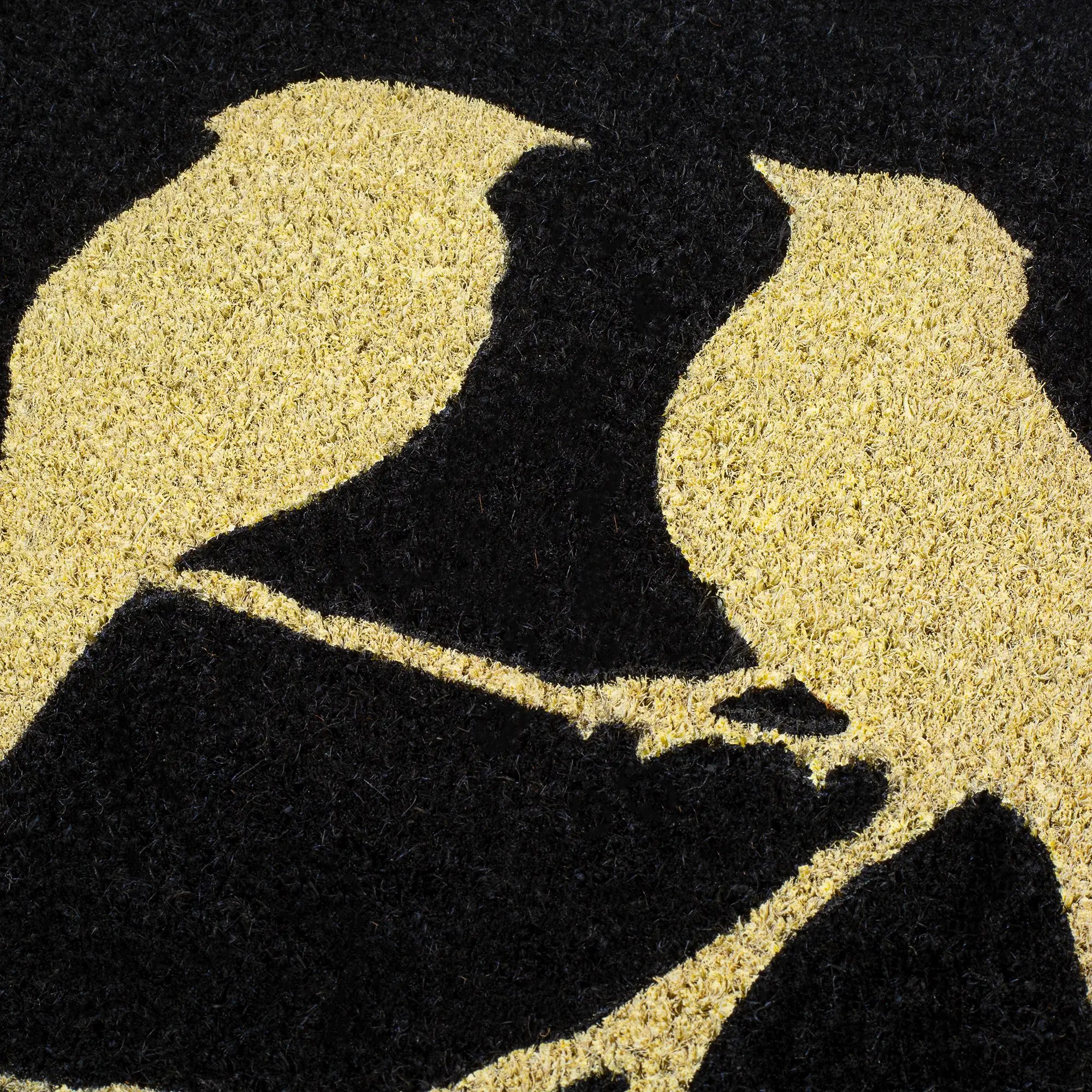 Birds On Branch - Black Coir Doormat by Fab Habitat