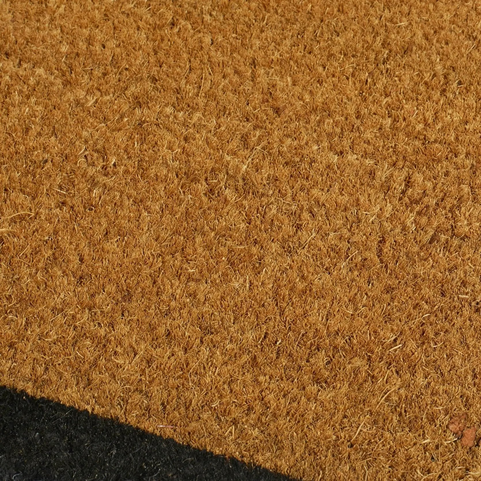 Black Border Coir Doormat by Fab Habitat