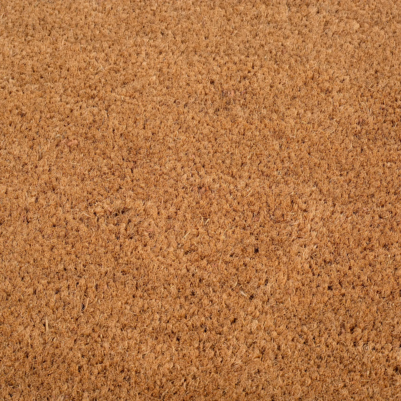 Black Border Coir Doormat by Fab Habitat