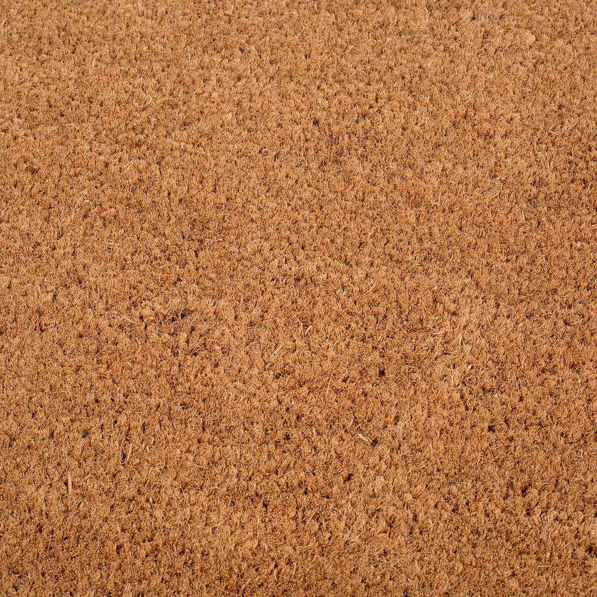 Black Border Coir Doormat, photo 17 of 24