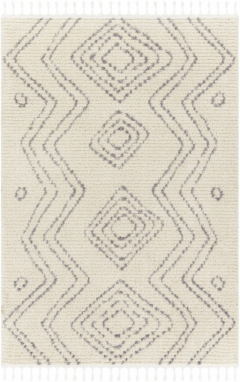 Ballybofey Area Rug - Clearance by Boutique Rugs