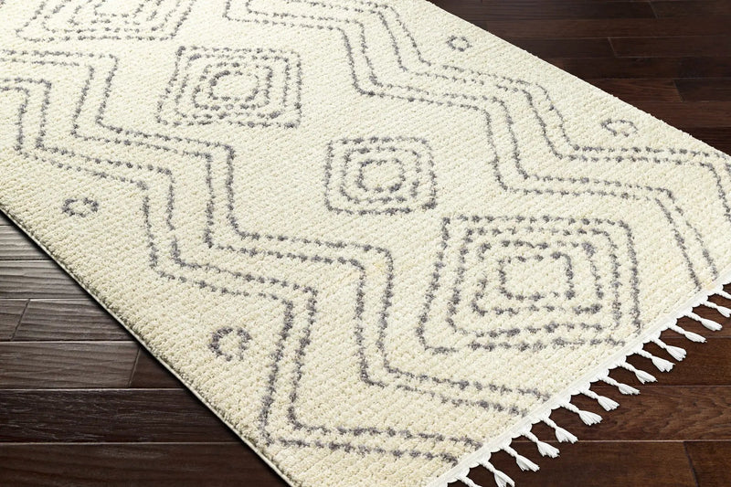 Ballybofey Area Rug - Clearance by Boutique Rugs