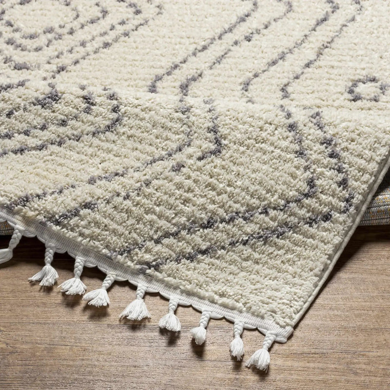 Ballybofey Area Rug - Clearance by Boutique Rugs