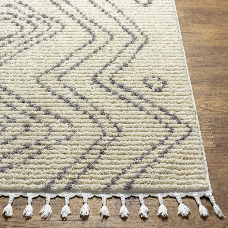 Ballybofey Area Rug - Clearance by Boutique Rugs
