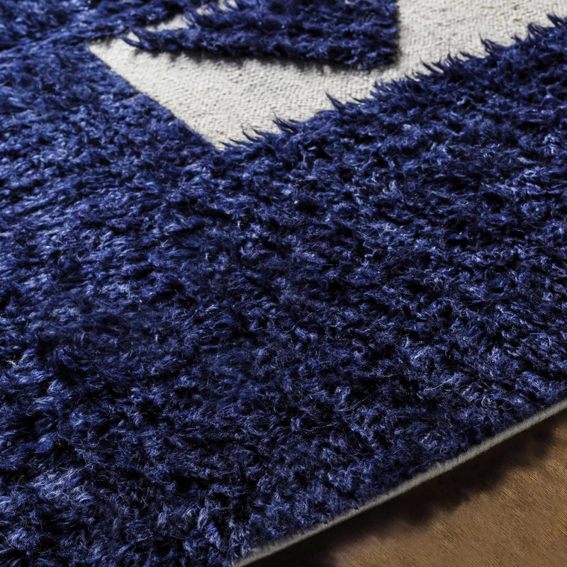 Billinge Area Carpet - Clearance by Boutique Rugs