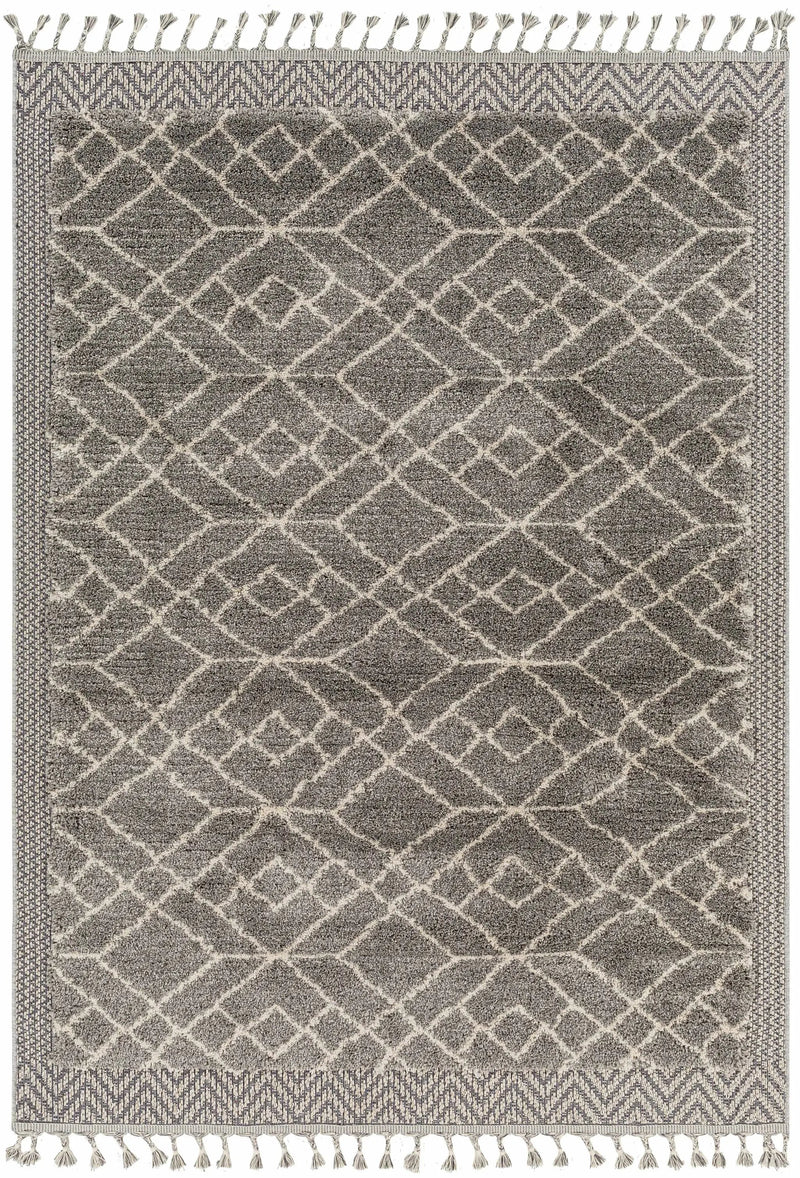 Ballybunnion Area Rug - Clearance by Boutique Rugs