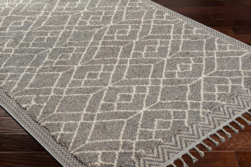 Ballybunnion Area Rug - Clearance by Boutique Rugs