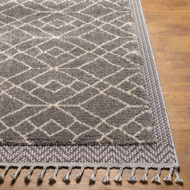 Ballybunnion Area Rug - Clearance by Boutique Rugs