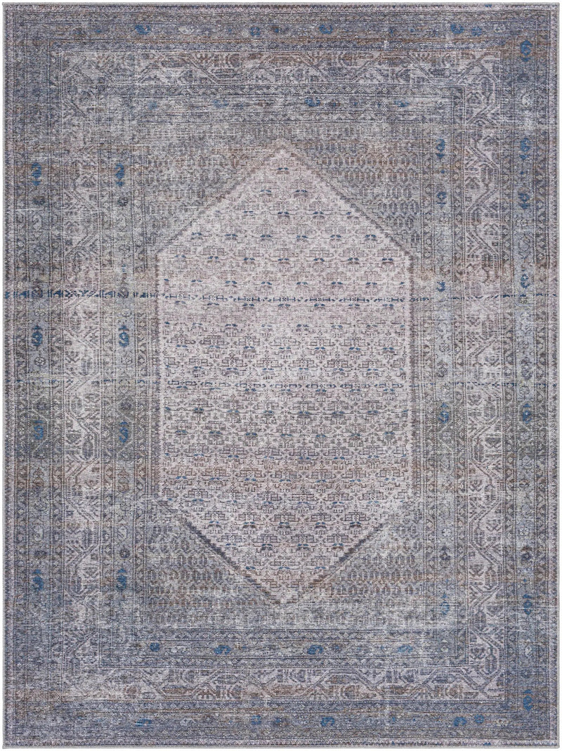 Brown Ballinasloe Vintage Washable Area Rug - Clearance by Boutique Rugs