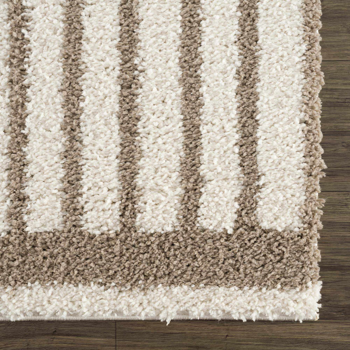 Jola Beige Area Rug by Boutique Rugs