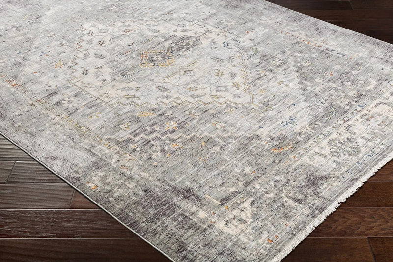 Boli Distressed Statement Rug by Boutique Rugs
