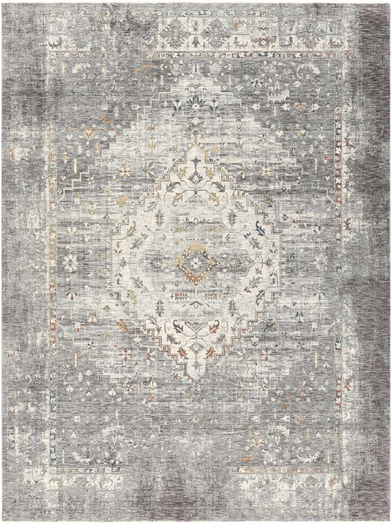 Boli Distressed Statement Rug by Boutique Rugs