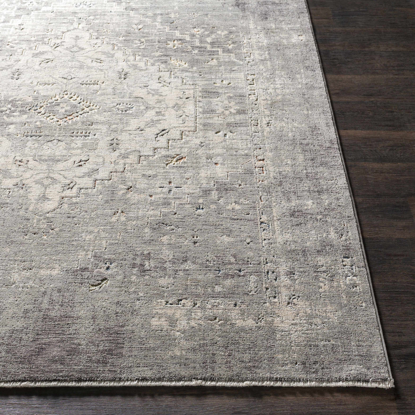 Boli Distressed Statement Rug by Boutique Rugs