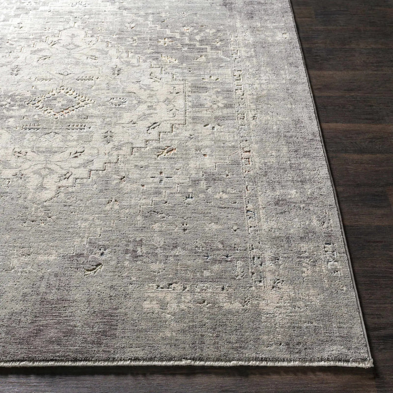 Boli Distressed Statement Rug by Boutique Rugs