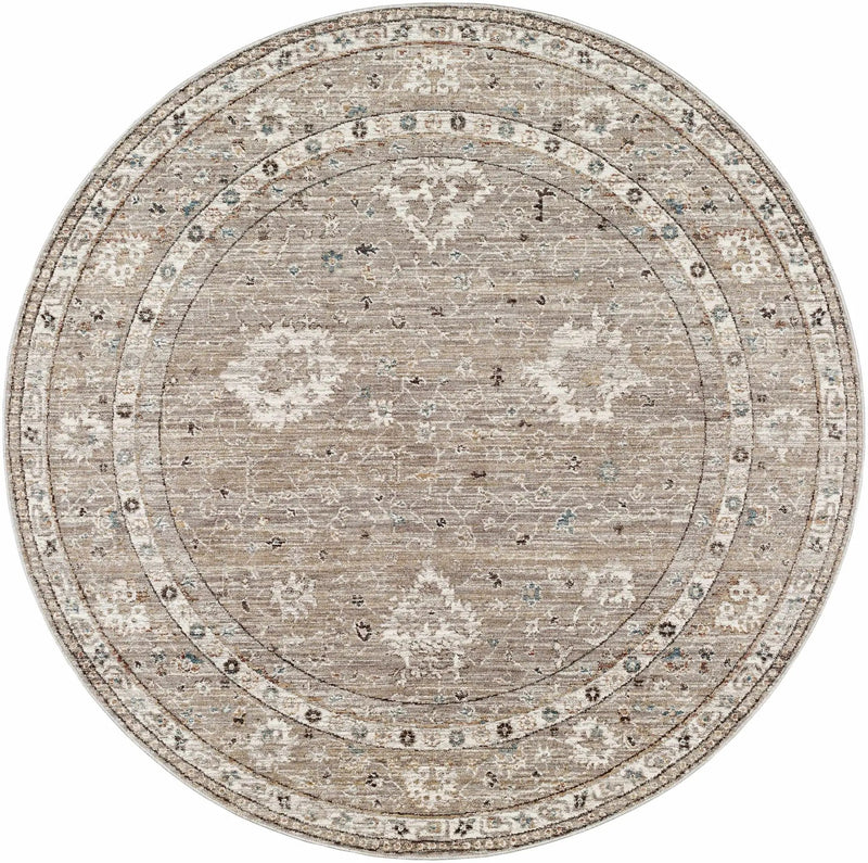 Bolitoc Area Rug - Clearance by Boutique Rugs