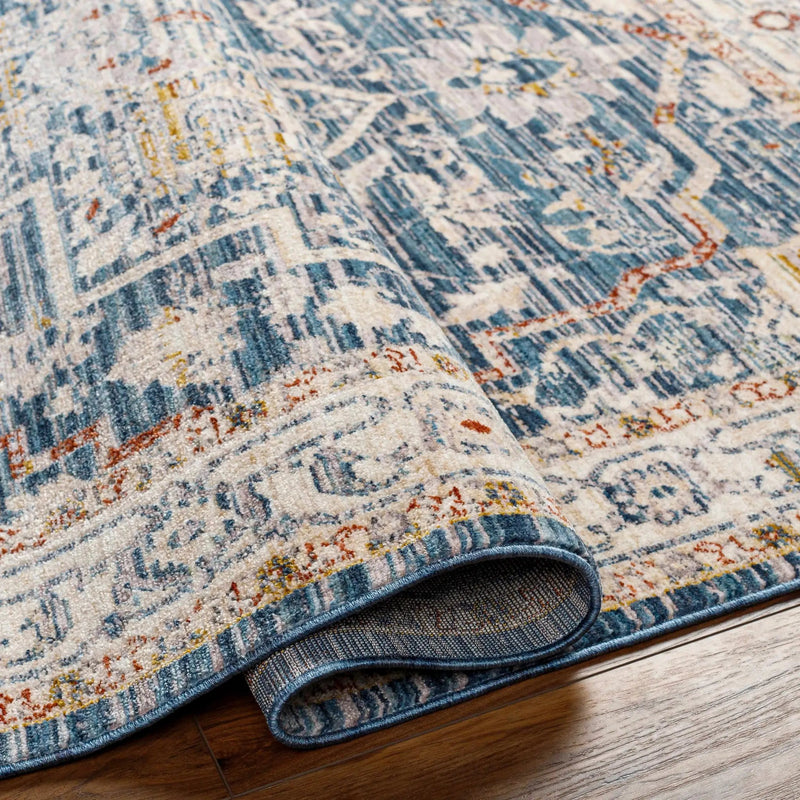 Bree Traditional Style Rug - Clearance by Boutique Rugs