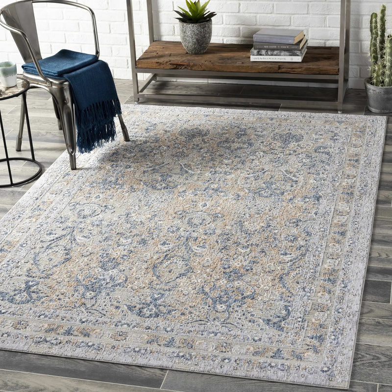 Barrie Area Carpet - Clearance by Boutique Rugs