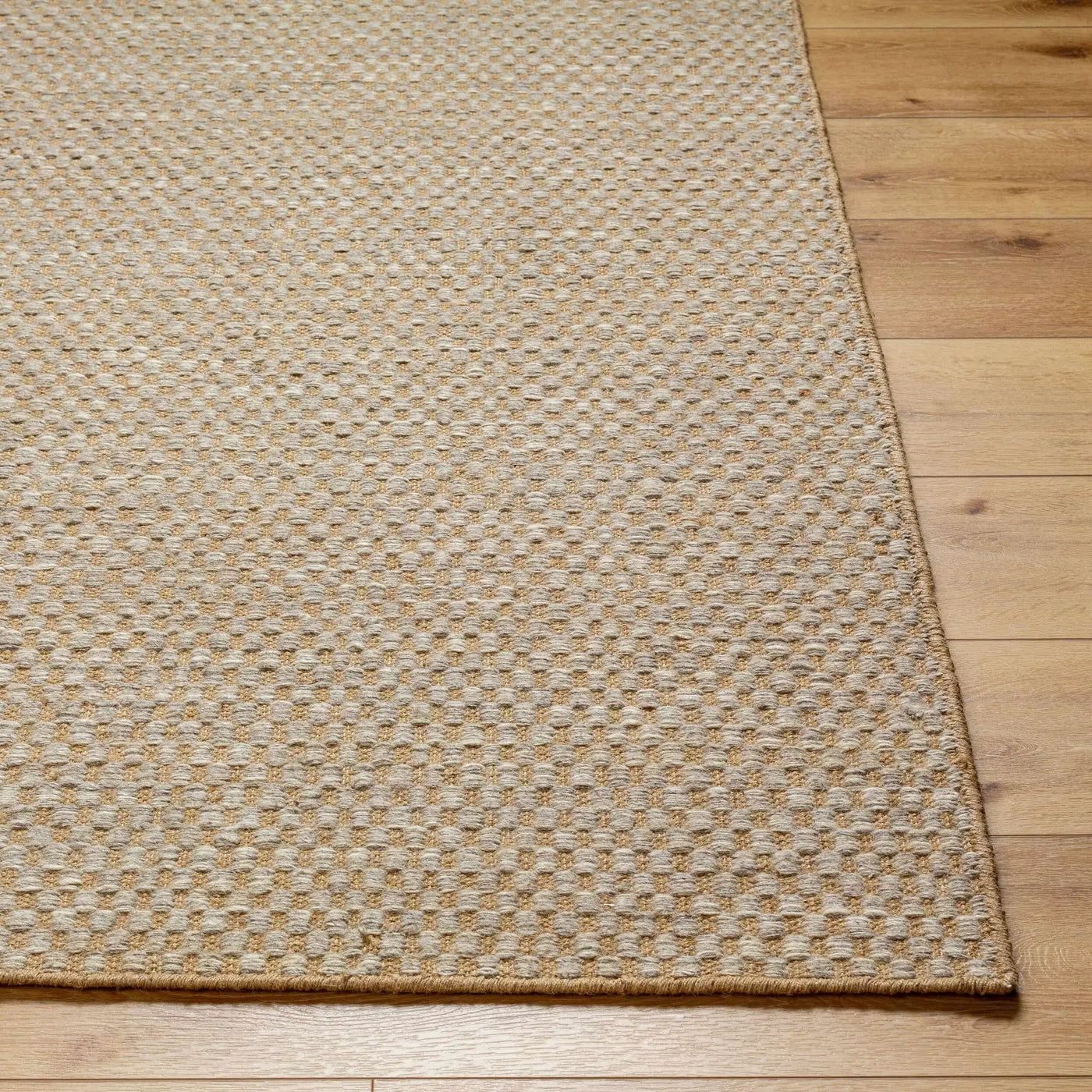 Ayers Beige & Gray Area Rug - Clearance by Boutique Rugs
