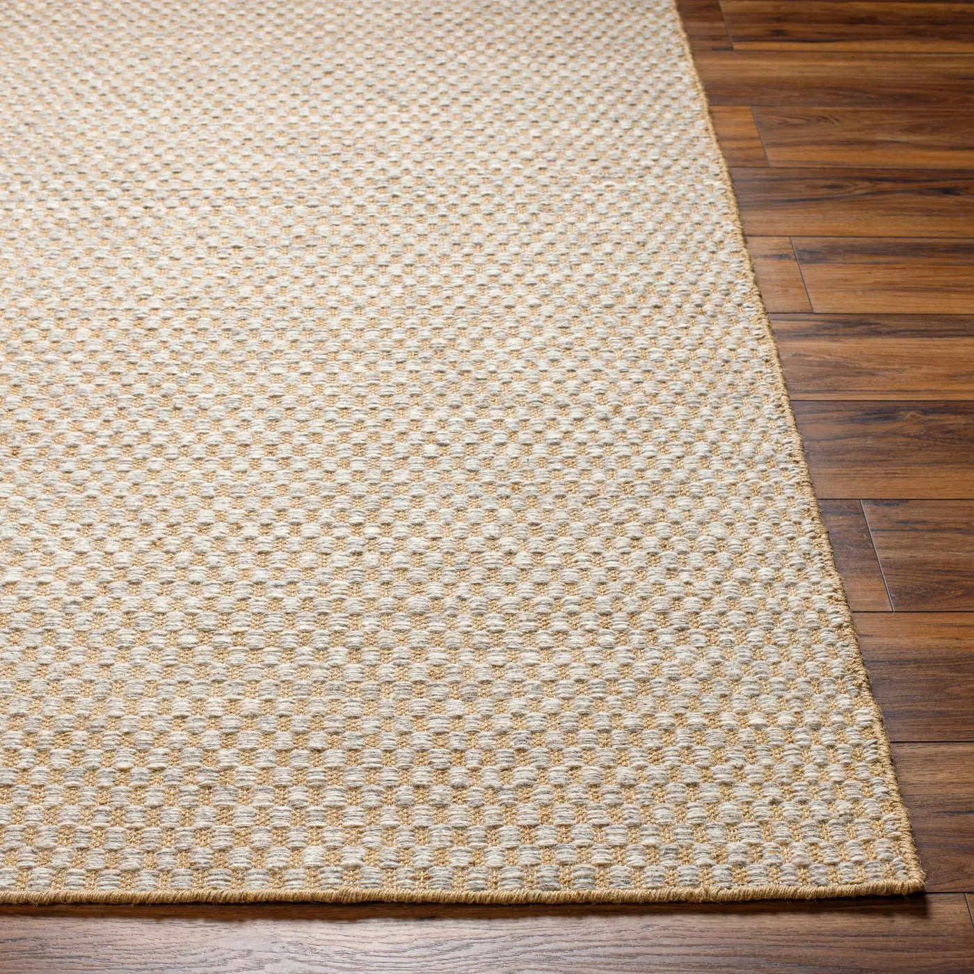 Ayers Beige & Gray Area Rug - Clearance by Boutique Rugs